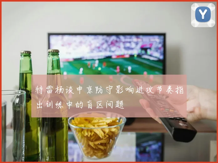 特雷杨谈申京防守影响进攻节奏指出训练中的盲区问题